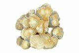 Clearance: Polished Aragonite Stalactite Slices & Sections - Pieces #288581-4